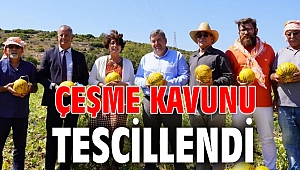 Çeşme kavunu tescillendi