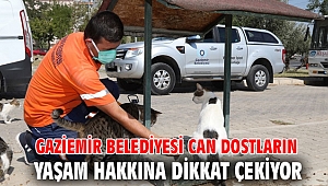 Gaziemir Belediyesi can dostların yaşam hakkına dikkat çekiyor