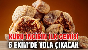 Kuru incirin ilk gemisi 6 Ekim’de yola çıkacak