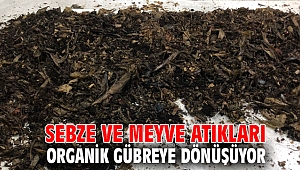 Sebze ve meyve atıkları organik gübreye dönüşüyor