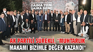 AK Partili Sürekli, 