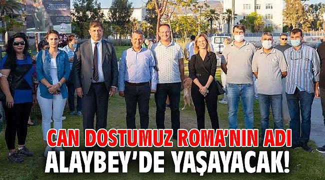 Can dostumuz Roma’nın adı Alaybey’de yaşayacak!