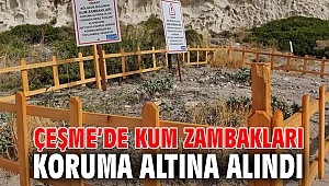 Çeşme’de kum zambakları koruma altına alındı