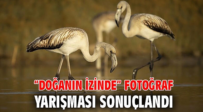 “Doğanın İzinde” fotoğraf yarışması sonuçlandı