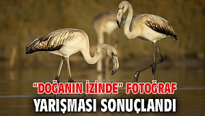“Doğanın İzinde” fotoğraf yarışması sonuçlandı