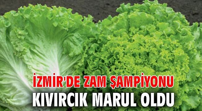 İzmir'de zam şampiyonu kıvırcık marul oldu