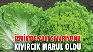 İzmir'de zam şampiyonu kıvırcık marul oldu