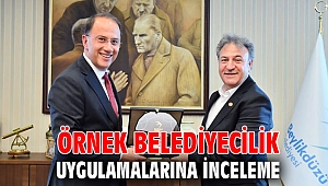 Örnek belediyecilik uygulamalarına inceleme