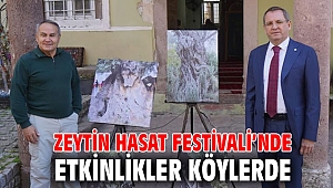 Zeytin Hasat Festivali’nde etkinlikler köylerde