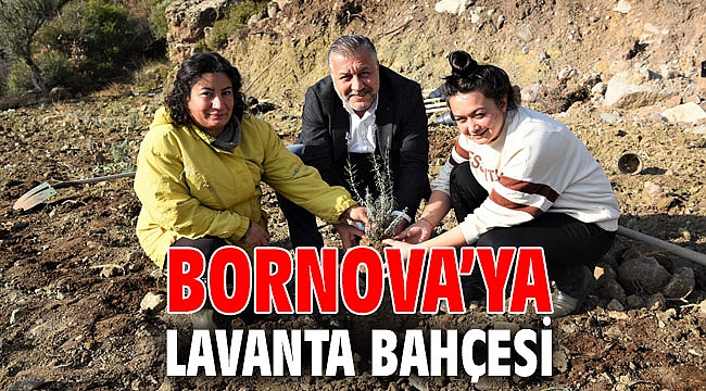Bornova’ya lavanta bahçesi