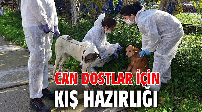 Can dostlar için kış hazırlığı