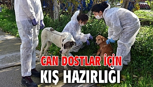 Can dostlar için kış hazırlığı