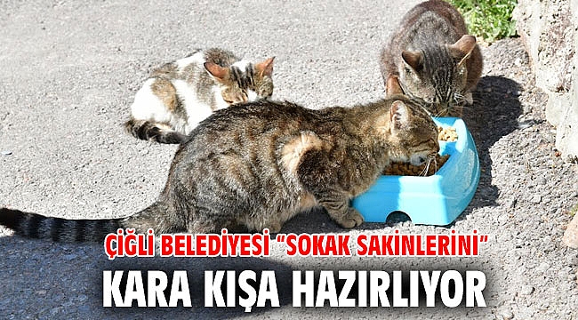 Çiğli Belediyesi “Sokak Sakinlerini” Kara Kışa Hazırlıyor