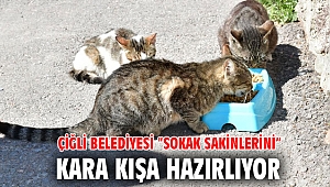 Çiğli Belediyesi “Sokak Sakinlerini” Kara Kışa Hazırlıyor