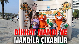 Dikkat Mandi ve Mandila Çıkabilir