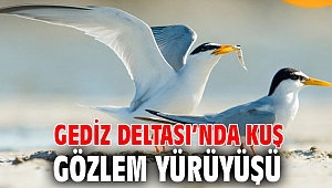 Gediz Deltası’nda kuş gözlem yürüyüşü