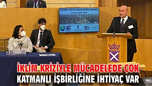 İklim kriziyle mücadelede çok katmanlı işbirliğine ihtiyaç var