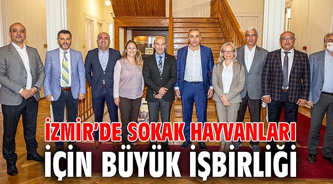İzmir’de sokak hayvanları için büyük işbirliği