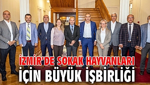 İzmir’de sokak hayvanları için büyük işbirliği