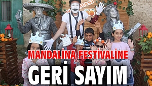 Mandalina Festivaline Geri Sayım