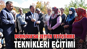 Bornova’da Zeytin Yetiştirme Teknikleri eğitimi