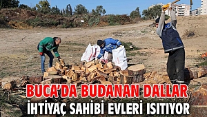 Buca’da budanan dallar ihtiyaç sahibi evleri ısıtıyor