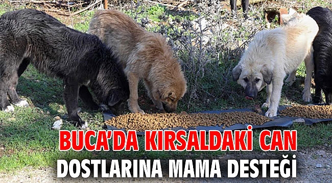 Buca’da kırsaldaki can dostlarına mama desteği