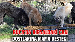 Buca’da kırsaldaki can dostlarına mama desteği
