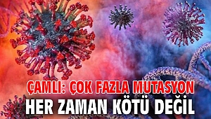 Çamlı: Çok fazla mutasyon her zaman kötü değil