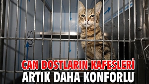 Can dostların kafesleri artık daha konforlu