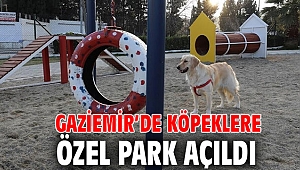 Gaziemir'de köpeklere özel park açıldı