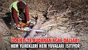 Ödemiş’te budanan ağaç dalları hem yürekleri hem yuvaları ısıtıyor
