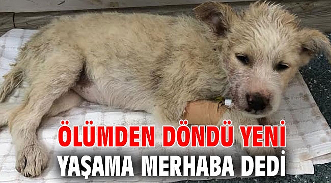 Ölümden Döndü Yeni Yaşama Merhaba Dedi