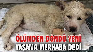 Ölümden Döndü Yeni Yaşama Merhaba Dedi