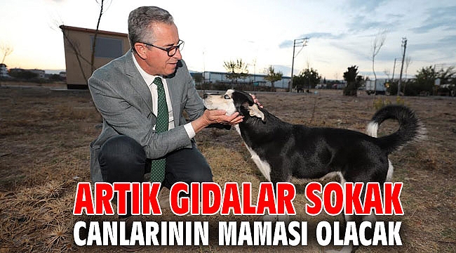 Artık gıdalar sokak canlarının maması olacak