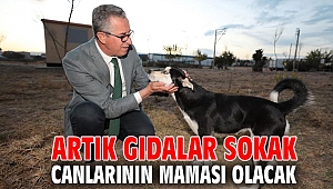 Artık gıdalar sokak canlarının maması olacak