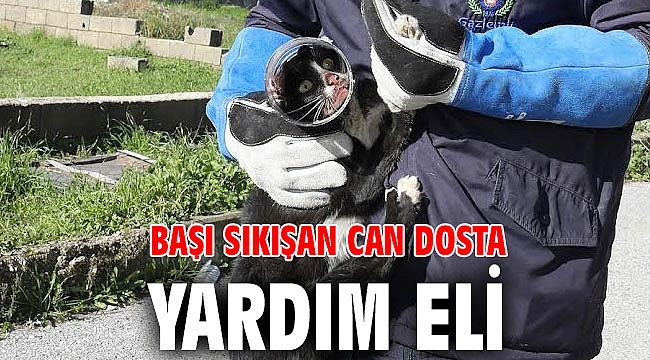 Başı sıkışan can dosta yardım eli