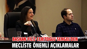 BAŞKAN FİLİZ CERİTOĞLU SENGEL’DEN MECLİSTE ÖNEMLİ AÇIKLAMALAR
