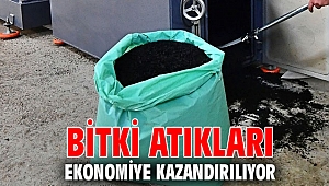 Bitki atıkları ekonomiye kazandırılıyor