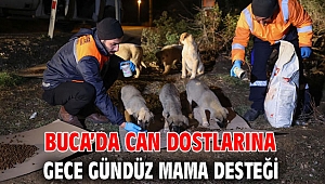 Buca’da can dostlarına gece gündüz mama desteği
