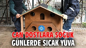 Can dostlara soğuk günlerde sıcak yuva...