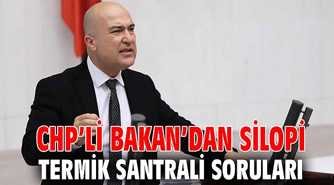 CHP’li Bakan’dan Silopi Termik Santrali soruları