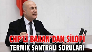CHP’li Bakan’dan Silopi Termik Santrali soruları
