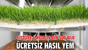 Çiftçiye 6 ayda 36 bin 500 kilo ücretsiz hasıl yem