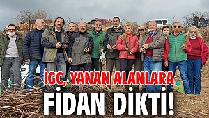 İGC, yanan alanlara fidan dikti!