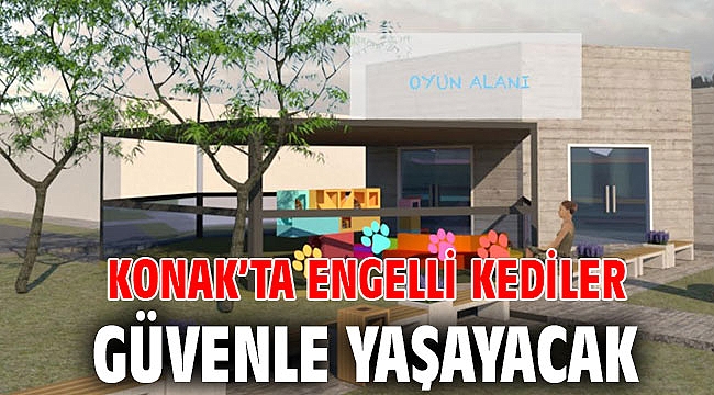 Konak’ta engelli kediler Güvenle yaşayacak
