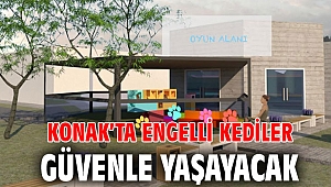 Konak’ta engelli kediler Güvenle yaşayacak