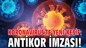Koronavirüs'te yeni keşif: Antikor imzası!