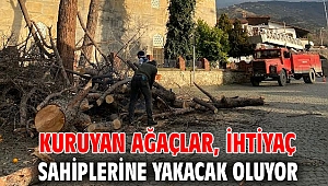 Kuruyan ağaçlar, ihtiyaç sahiplerine yakacak oluyor