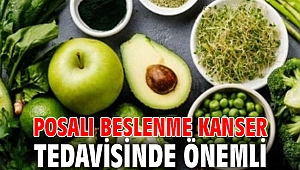 Posalı beslenme kanser tedavisinde önemli